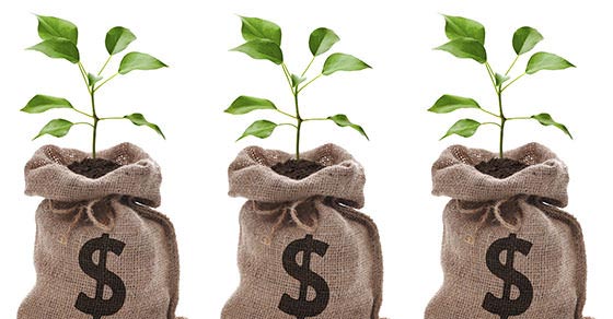 growing money - image for blog post about 6 ways of improving cost per lead for law firm marketing strategies