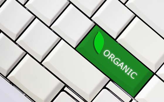 Organic Digital Marketing